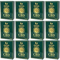 元気★水溶性CBDの素 5g×30包×12箱
