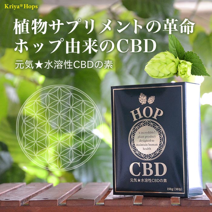 植物サプリメントの革命ホップ由来のCBD元気★水溶性CBDの素