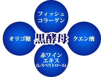 元気無限の素 4つのチカラ