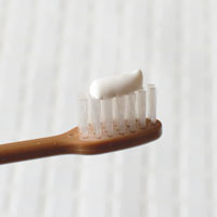 元気白い歯の素 （ＧＳＥ練歯みがき） 100g×5本セット