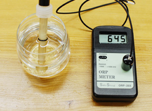 水道水の酸化還元電位：＋645mV