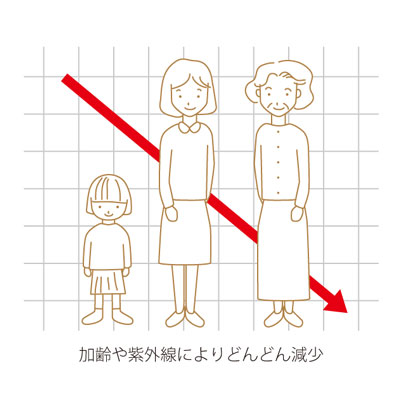 30歳で減りはじめ……60歳過ぎれば……