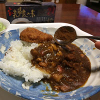 カレーと玄気陽気の素