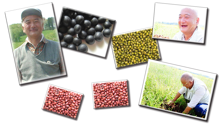 農薬不使用・無投入・無肥料栽培のお豆、銀手亡 | びんちょうたんコム