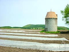 秋場さんの農場