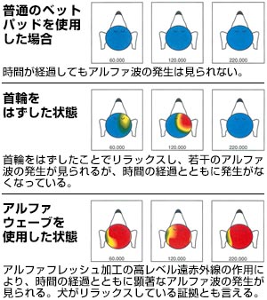 平成12年度 日本小動物獣医学会 生物医科学研究所 川合清洋博士 「イヌのリラクゼーション効果に関する研究」 論文発表