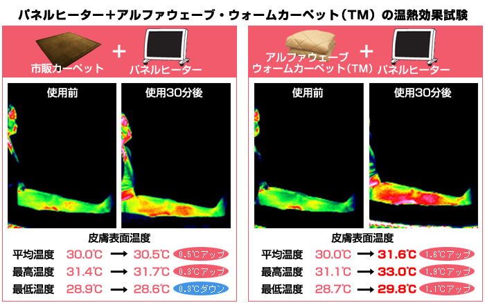 パネルヒーター＋アルファウェーブ・ウォームカーペット（TM）の温熱効果試験