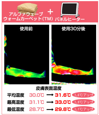 パネルヒーター+アルファウェーブ・ウォームカーペット（TM）の温熱効果試験02