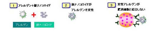 あるじゃんがアレルゲンを不活化させるメカニズム