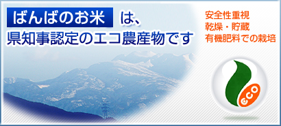 ばんばのお米は、県知事認定のエコ農産物です