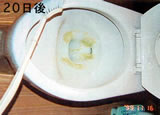 20日目:ブラシ掃除後