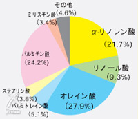 ナチュラル馬油の脂肪酸組成