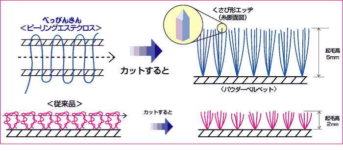 べっぴんさんエステクロス　モデル図