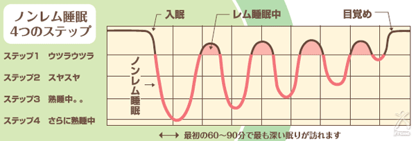 知恵ピロー・楽枕万能：ノンレム睡眠4つのステップ