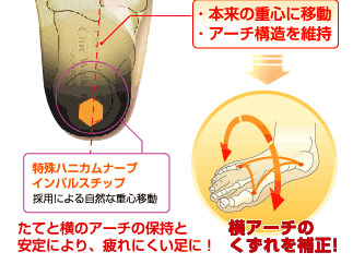 知恵ウォーカー：知恵ウォーカーの仕組み