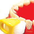 歯と歯ぐきの間の歯垢をしっかり除去