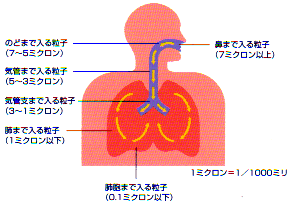 ミストのはたらき