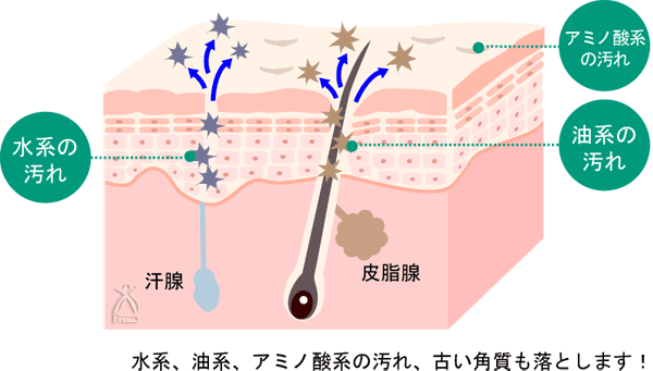 華にがり：ピーリングメカニズム