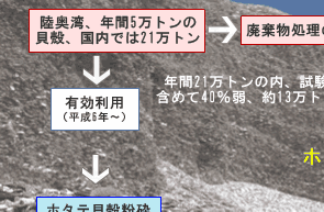 毎日満足：ホタテの貝殻の有効利用