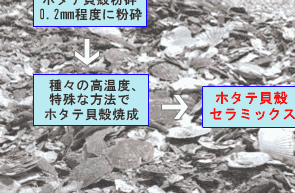 毎日満足：ホタテの貝殻の有効利用