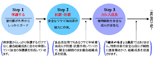 樹木を保護するステップ