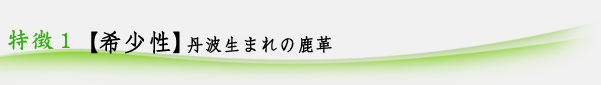 【希少性】丹波生まれの鹿革