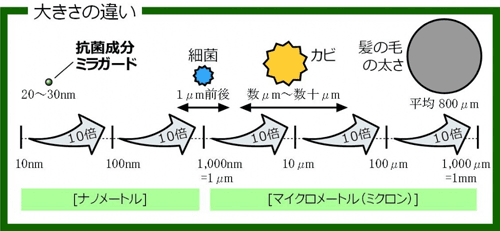 大きさの違い