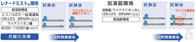 ミスパ ビューティー・ミニ：抗酸化効果