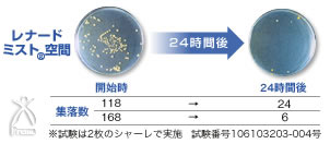 ミスパ ビューティー・ミニ：クロカビの検証試験