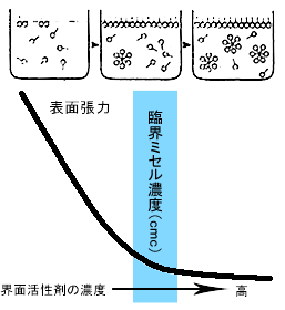 ミセル形成作用