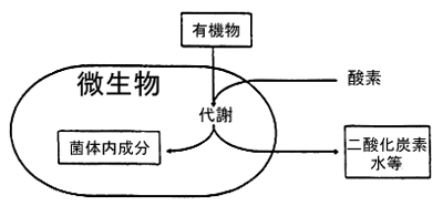 生分解の図