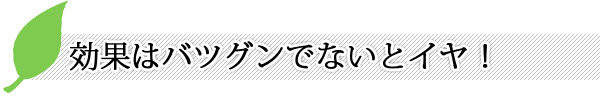 効果はバツグンでないとイヤ！