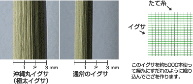 １ 通常のイグサよりも約2 倍太い「国産沖縄丸いぐさ」を使用