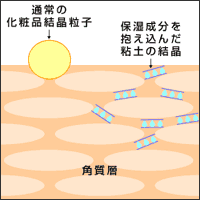 肌に浸透していくイラスト