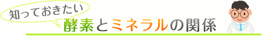 知っておきたい、酵素とミネラルの関係