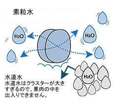 素粒水、注目のパワー