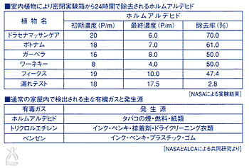 NASAも着眼する“フィトンチッド効果”