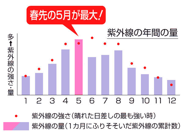 紫外線の年間量