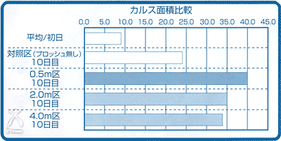 プロッシュ：カルス面積比較