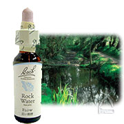  バッチフラワーレメディ No.27 ロックウォーター 10ml