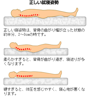 「ベッドマット・敷き布団」は適度に硬い方がよい