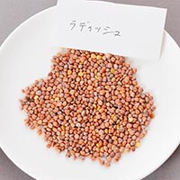ナチュラルライフステーション 有機種子 ラディッシュ 約180粒