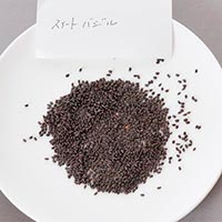 ナチュラルライフステーション 有機種子 スイートバジル 約280粒