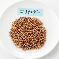 ナチュラルライフステーション 有機種子 コリアンダー 約120粒