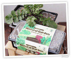 有機家庭菜園セット Natural Garden(ナチュラルガーデン)