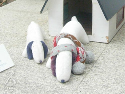 地雷ではなく花をください：マフラーを巻いたJAKEに出迎えられて