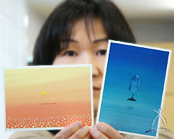 地雷ではなく花をください：私が選んだポストカードはこの2枚