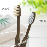 FINEeco40 竹の歯ブラシ（極細毛） 