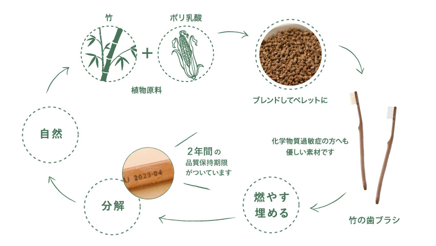 竹の歯ブラシの柄の素材は自然の原料を使用しています