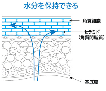 水分を保持できる